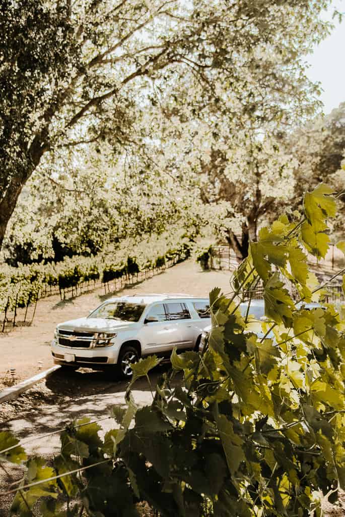 One tour vehicle in the vineyard